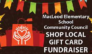 Shop Local gift card fundraiser returns